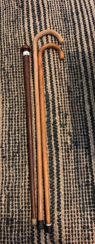 3 Walking Sticks