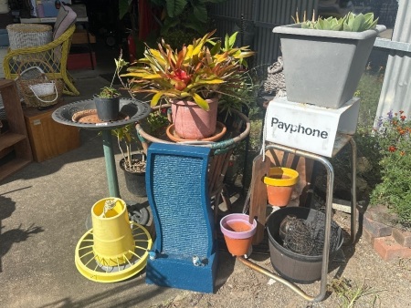 Mixed Garden Lot