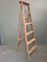 Wooden Fold Out Ladder