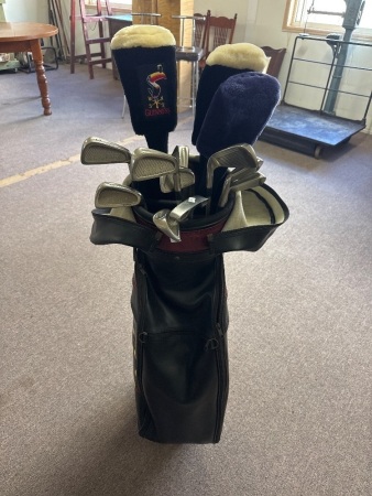 EZ PAR The World Event of Globe Set - Incs Clubs & Golf Bag