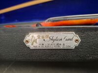 Violin in Case - 2