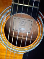 Matt Giles Acoustic Guitar in Case, Model No SDG045 - 3