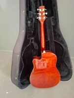 Matt Giles Acoustic Guitar in Case, Model No SDG045 - 4