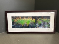 Grasstree Regeneration, at 2 Weeks, Fraser Island - Framed Photograph by Peter Meyer