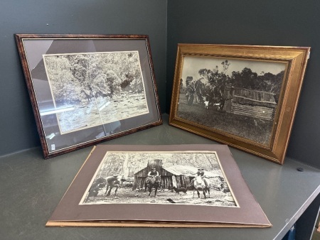 3 Vintage Black & White Bush Scene Photographs