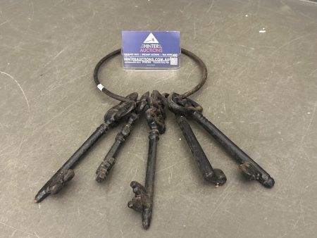 5 Cast Iron Keys on Ring