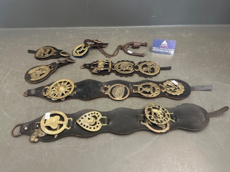 Lot of Brass Horse Medallions on Leather Straps