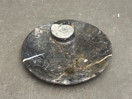 Serving Plate, Made from 400 Million Year Old Fossil Filled Marble - From Morocco
