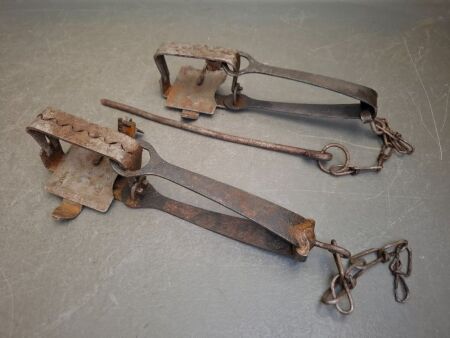 Pair of Lanes Vermin Traps