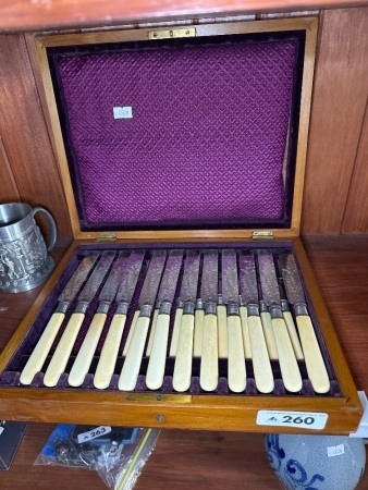 24 piece bone-handled cutlery set IOB