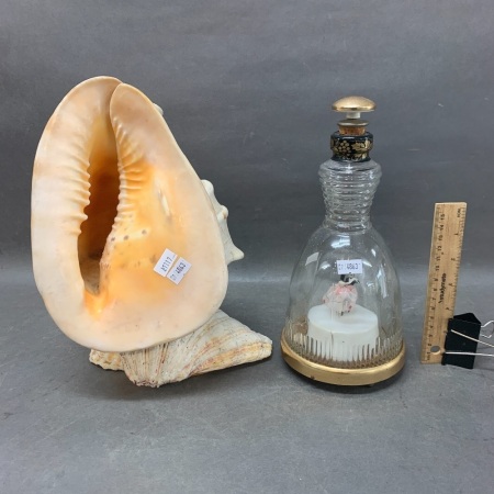 Vintage Helmet Conch Shell + Retro Swan Lake Musical Decanter