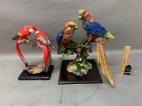 2 x Pairs of Parrots Sculptures on Plinths - 4