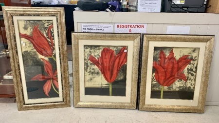 3 Contemporary Framed Red Flower Prints