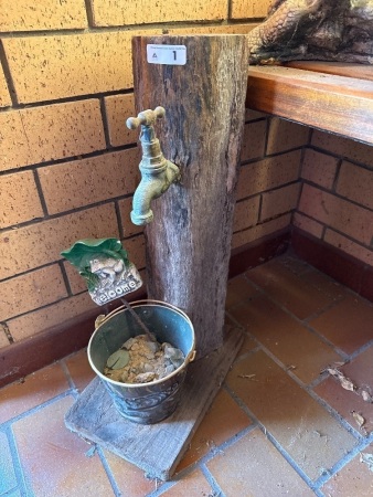 Tap on fence post with painted bucket for display