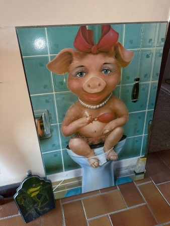 Piggy on toilet print on board plus painted toilet roll holder