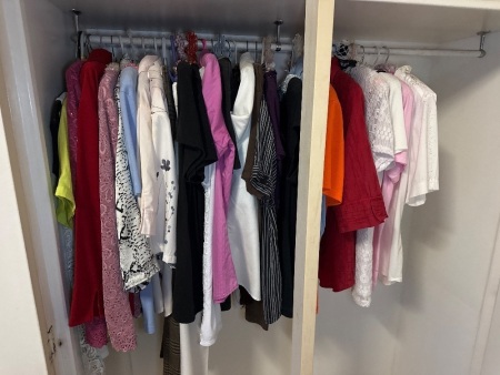 Ladies blouses