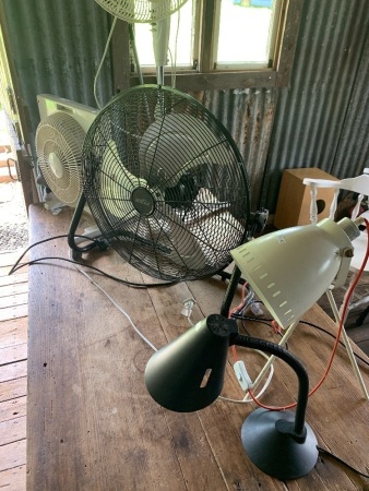 Lot of Electrical Fans & Lamps
