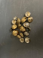 Military Set of Collectable Badges and Buttons - 5
