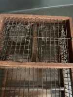 Double-Catch Finch Trap - 3