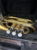 Stenberg Cornet in Original Box - 3