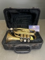 Stenberg Cornet in Original Box