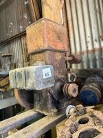 LIGHTNING BHP Petrol/kerosene stationary engine - 2