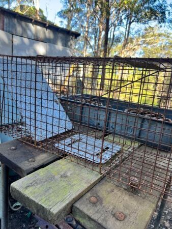 Cage trap