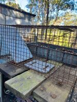 Cage trap