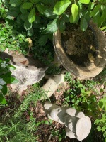 Concrete Bird Bath, Cherub Stand & Elephant - 2