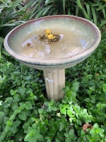 Glazed Bird Bath