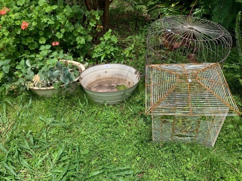 2 Bird Cages + 2 Enamel Bowls - 1 As Is