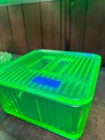 Large Uranium Glass Butter Dish - 2