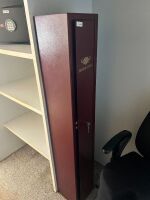 Buffalo River gun safe