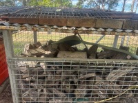 Bulk lot of firewood - 2