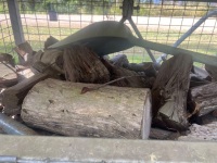 Bulk lot of firewood - 3