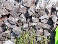 Bulk lot of firewood - 2