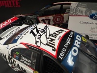 2007 Ford Falcon BF XR8 #17 Johnson/Davison - DJR Jim Beam Bathurst - 0287/1100 - Biante - B18302A - Car Signed Dick Johnson On Roof & Steven Johnson On Bonnet - 5