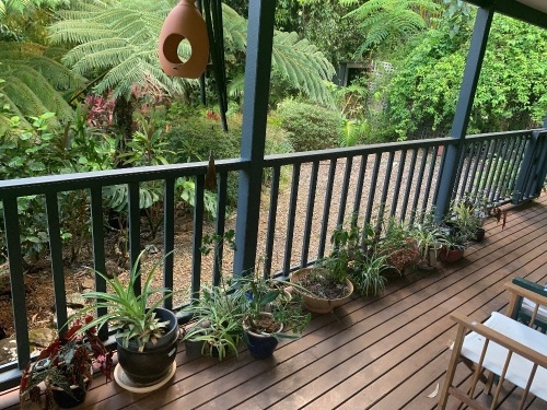 Large Selection of Asstd Small Pots + Plants + Terracotte Feeder & Wind Chime