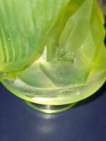 Art Deco Uranium Glass Bowl with Frosted Pelican Centrepiece - 6