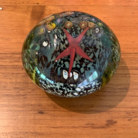 Paperweight with Coral Reef Design