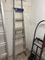 Bailey a frame ladder