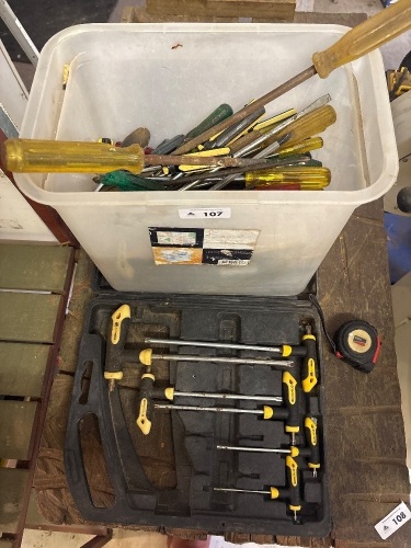 Inc star drivers and big tub of assorted screwdrivers
