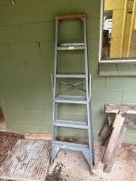 Galvanised step ladder