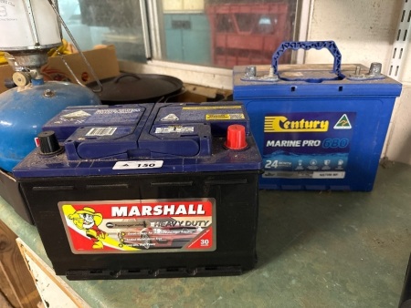 2x heavy duty batteries