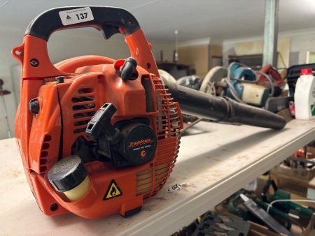 Petrol blower