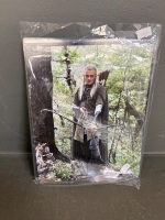 Set of Authentic New Line Cinema Lord of the Rings Promo Photographs - 4