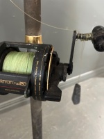 SHIMANO Triton TLD 20 Lever Drag Saltwater Fishing Reel with WILSON 'Stroker' 6-15kg Rod - 4