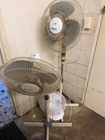 3x fans
