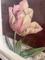 Framed Print Featuring Flower on Red Background - 2