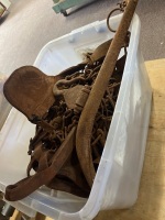 Assorted Lot of Leather Equestrian Blinkers and Harness Chain